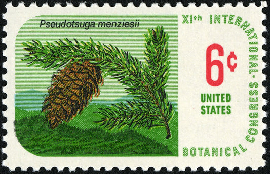 Five (5) vintage unused postage stamps - Botanical congress 1969 - Douglas fir // 6 cent stamps // Face value 0.30