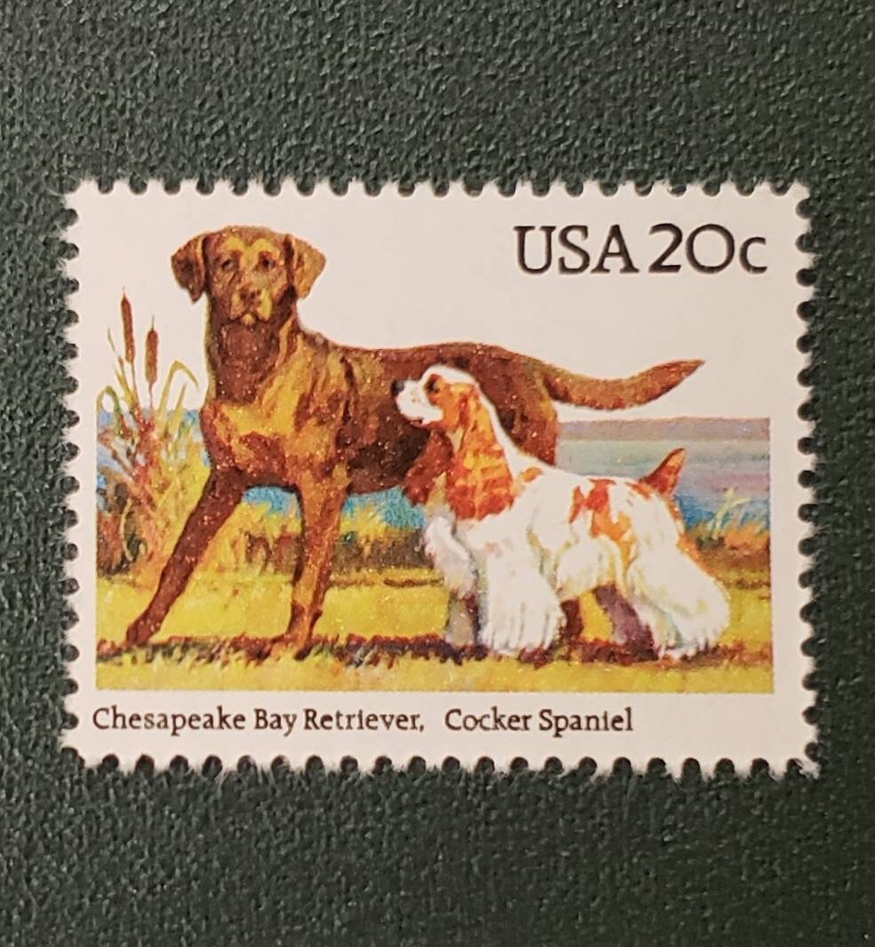 One (1) vintage unused postage stamps - Dogs: Chesapeake Bay Retriever, Cocker Spaniel // 20 cent stamp