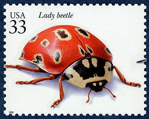 Five (5) unused postage stamps - Lady beetle / Asian lady bug // 33 cent stamps // Face value 1.65