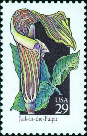 Five (5) vintage unused postage stamps - Wildflowers - Jack-In-The-Pulpit // 29 cent stamps // Face value 1.45