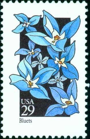 Five (5) vintage unused postage stamps - Wildflowers - Bluets // 29 cent stamps // Face value 1.45