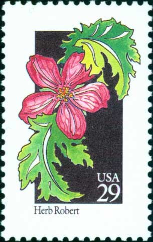 Five (5) vintage unused postage stamps - Wildflowers - Herb Robert // 29 cent stamps // Face value 1.45