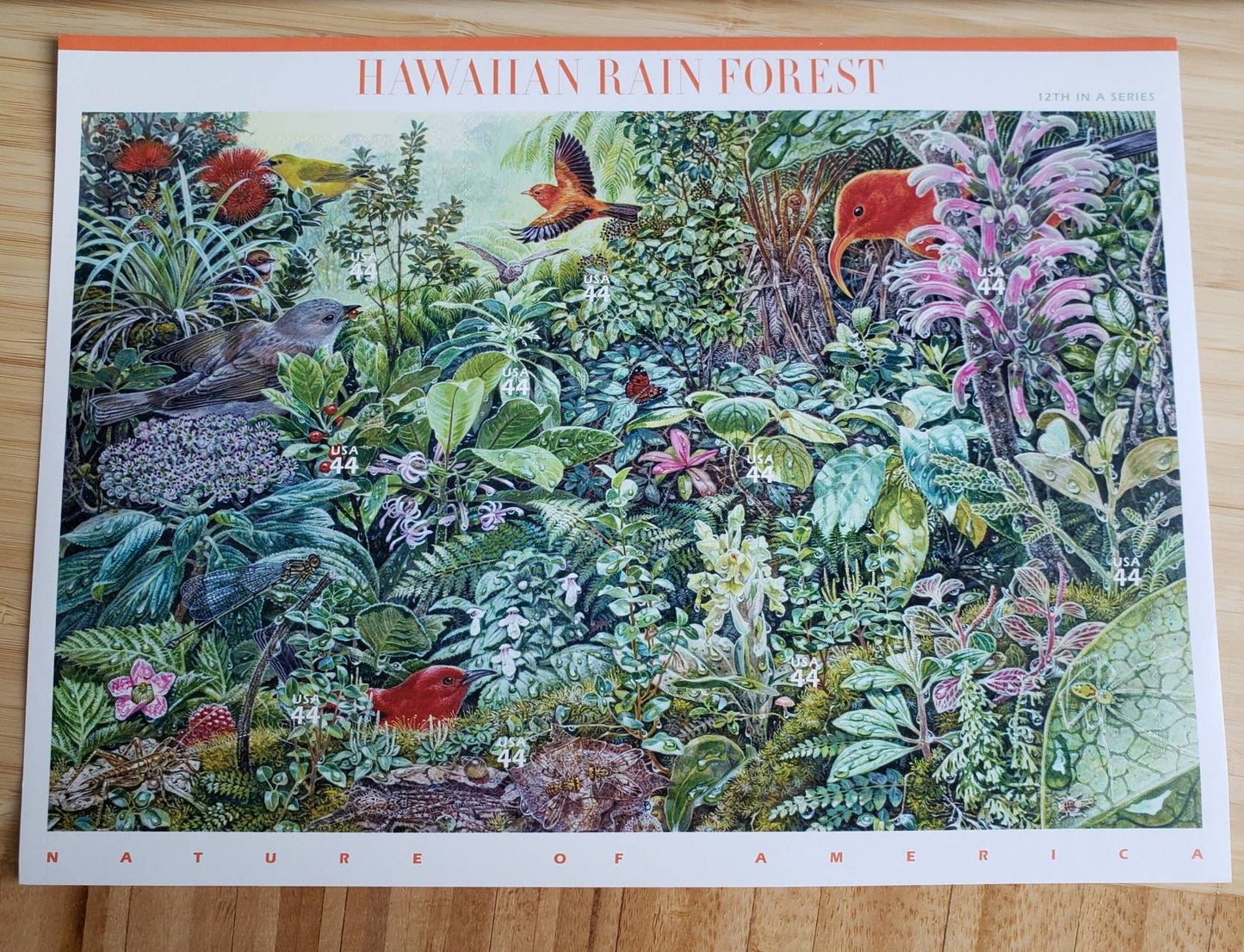 Ten (10) vintage postage stamps - Hawaiian Rain Forest (12th Nature of America sheet) // 44 cent stamps // Face value 4.40 dollars