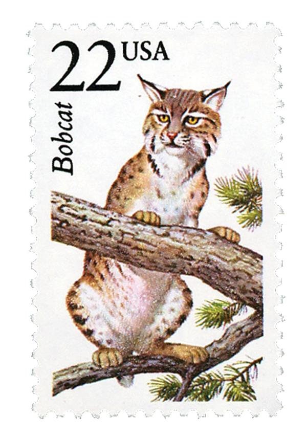 Five (5) vintage unused postage stamps - North American Wildlife, Bobcat // 22 cent stamps // Face value 1.10