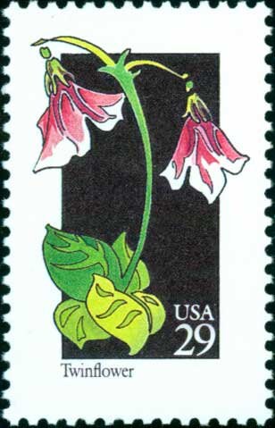 Five (5) vintage unused postage stamps - Wildflowers - Twinflower // 29 cent stamps // Face value 1.45