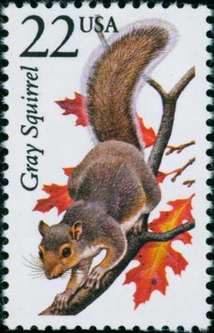 Five (5) vintage unused postage stamps - North American Wildlife, Gray Squirrel // 22 cent stamps // Face value 1.10