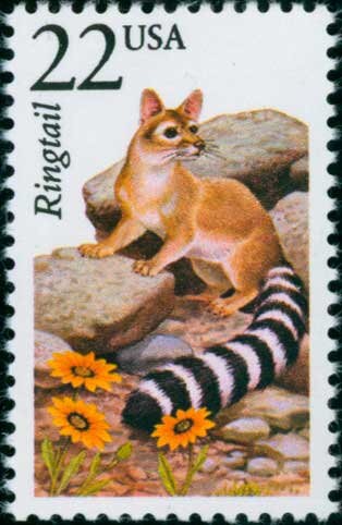 Five (5) vintage unused postage stamps - North American Wildlife, Ringtail // 22 cent stamps // Face value 1.10