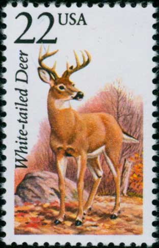 Five (5) vintage unused postage stamps - North American Wildlife: White-tailed Deer // 22 cent stamps // Face value 1.10