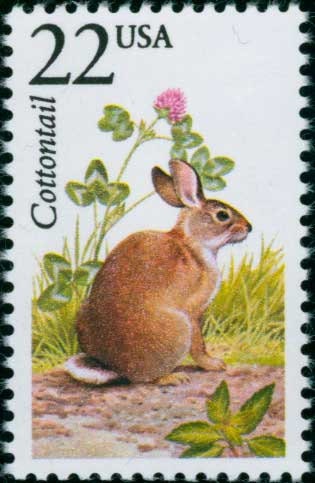 One (1) vintage unused postage stamps - North American Wildlife, cottontail rabbit // 22 cent stamp