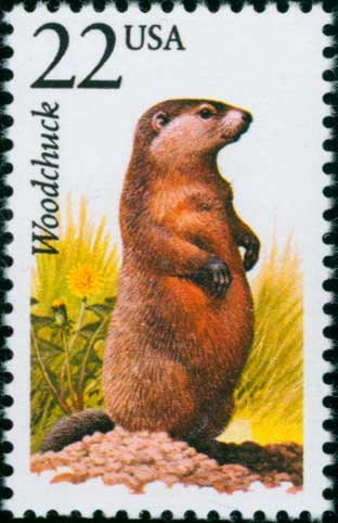 Five (5) vintage unused postage stamps - North American Wildlife, Woodchuck // 22 cent stamps // Face value 1.10