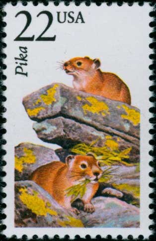 Five (5) vintage unused postage stamps - North American Wildlife: PIka // 22 cent stamps // Face value 1.10