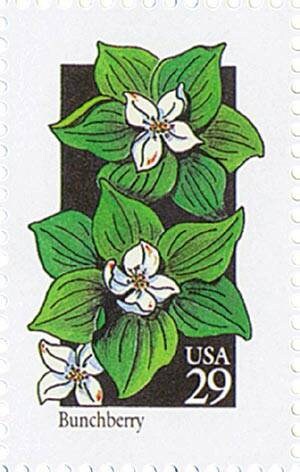 Five (5) vintage unused postage stamps - Wildflowers - Bunchberry // 29 cent stamps // Face value 1.45