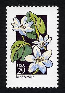 Five (5) vintage unused postage stamps - Wildflowers - Rue Anemony // 29 cent stamps // Face value 1.45