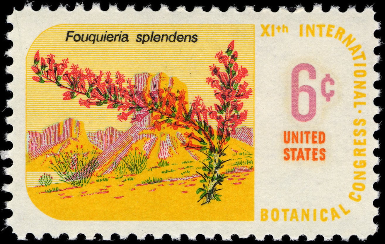 Five (5) vintage unused postage stamps - Botanical congress 1969 - Fouquieria splendens, ocotillo // 6 cent stamps // Face value 0.30