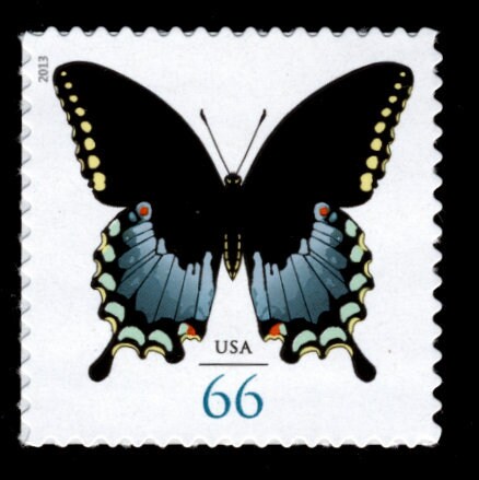 One (1) vintage unused postage stamps - Spicebush Swallowtail Butterfly // 66 cent stamp