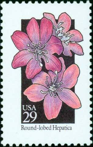 Five (5) vintage unused postage stamps - Wildflowers - Round-lobed Hepatica // 29 cent stamps // Face value 1.45