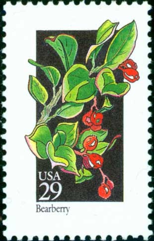 Five (5) vintage unused postage stamps - Wildflowers - Bearberry // 29 cent stamps // Face value 1.45