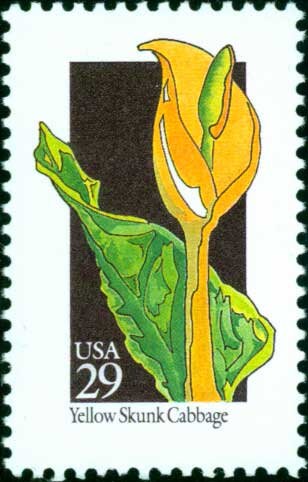 Five (5) vintage unused postage stamps - Wildflowers - Yellow Skunk Cabbage // 29 cent stamps // Face value 1.45