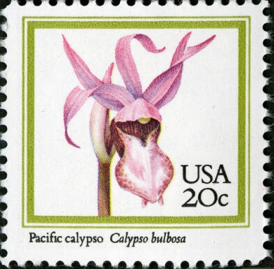 Five (5) vintage unused postage stamps - Orchids: pacific calypso // 20 cent stamps // Face value 1.00