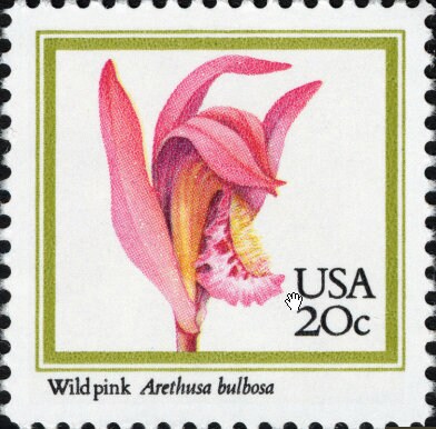 Five (5) vintage unused postage stamps - Orchids: wild pink // 20 cent stamps // Face value 1.00