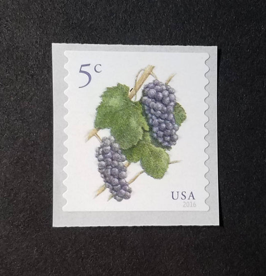 Five (5) unused postage stamps - Grapes (a bunch of grapes) // 5 cent stamps // face value 0.25