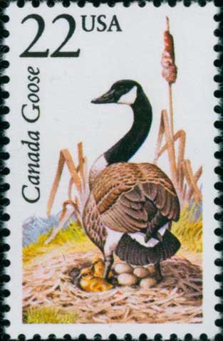 Five (5) vintage unused postage stamps - North American Wildlife: Canada Goose // 22 cent stamps // Face value 1.10