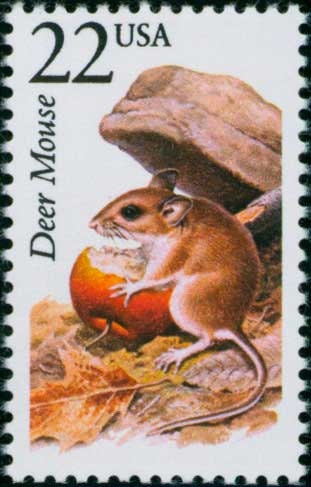 Five (5) vintage unused postage stamps - North American Wildlife: Deer Mouse // 22 cent stamps // Face value 1.10