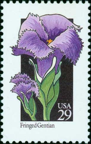 Five (5) vintage unused postage stamps - Wildflowers - Fringed Gentian // 29 cent stamps // Face value 1.45