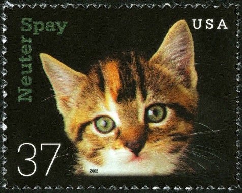 Five (5) unused US postage stamps - Kitten, spay neuter // 37 cent stamps // Face value 1.85