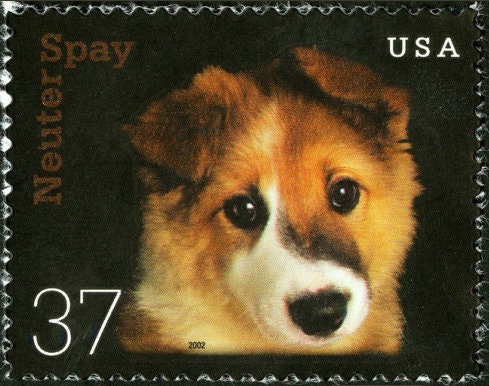 Five (5) unused US postage stamps - Puppy, spay neuter // 37 cent stamps // Face value 1.85