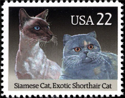 Five (5) vintage unused postage stamps - Cat breeds: Siamese cat, Exotic shorthair cat // 22 cent stamps // face value 1.10