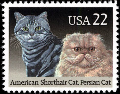 Five (5) vintage unused postage stamps - Cat breeds: American shorthair cat, Persian cat // 22 cent stamps // face value 1.10