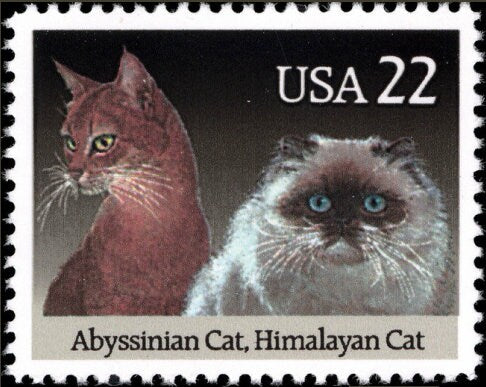 Five (5) vintage unused postage stamps - Cat breeds: Abyssinian cat, Himalayan cat // 22 cent stamps // face value 1.10