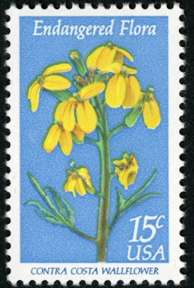 Five (5) vintage unused postage stamps - Endangered flora: Contra Costa Wallflower // 15 cent stamps // face value 0.75