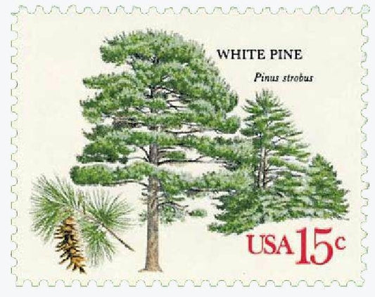 One (1) vintage unused postage stamps - Trees: white pine // 15 cent stamps