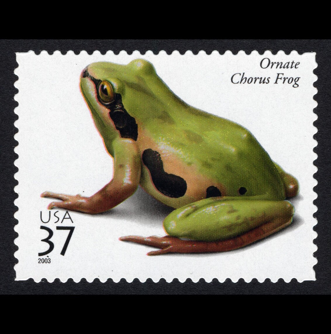 Five (5) unused US postage stamps - Amphibians and Reptiles: Ornate Chorus Frog// 37 cent stamps // face value 1.85