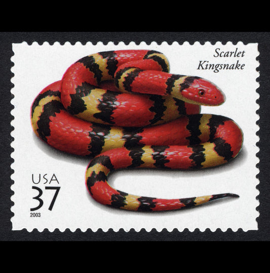 Five (5) unused US postage stamps - Amphibians and Reptiles: Scarlet Kingsnake // 37 cent stamps // face value 1.85