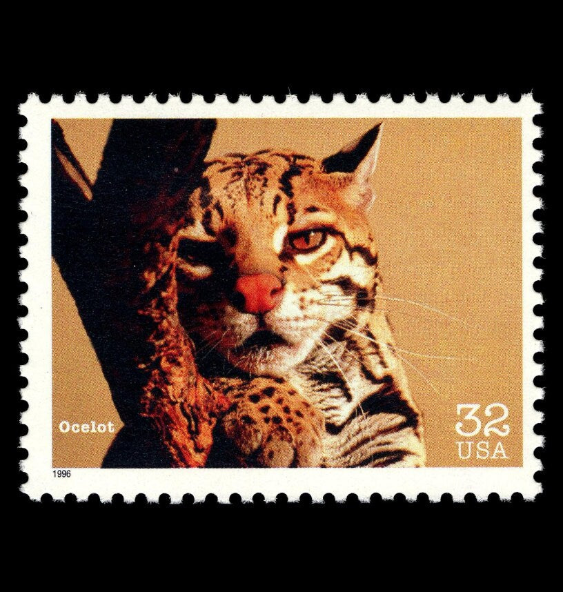 Five (5) vintage unused postage stamps - Ocelot (endangered species) // 32 cent stamps // Face value 1.60