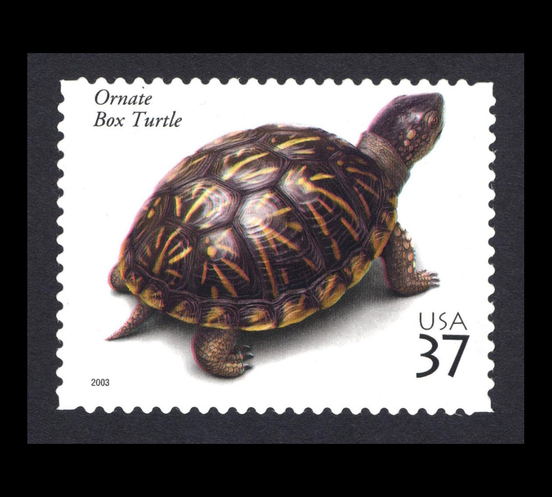 Five (5) unused US postage stamps - Amphibians and Reptiles: Ornate Box Turtle // 37 cent stamps // face value 1.85