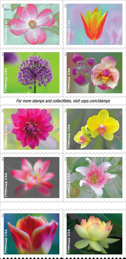 Twenty (20) unused postage stamps - Garden Beauty // forever stamps