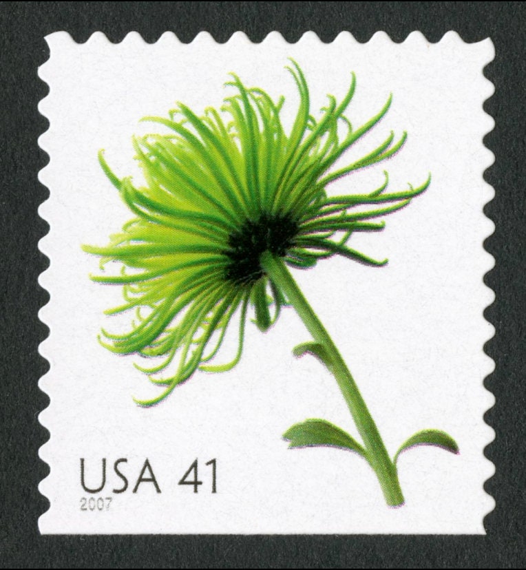 One (1) unused postage stamp - Beautiful Blooms: Chrysanthemum // 41 cent stamps