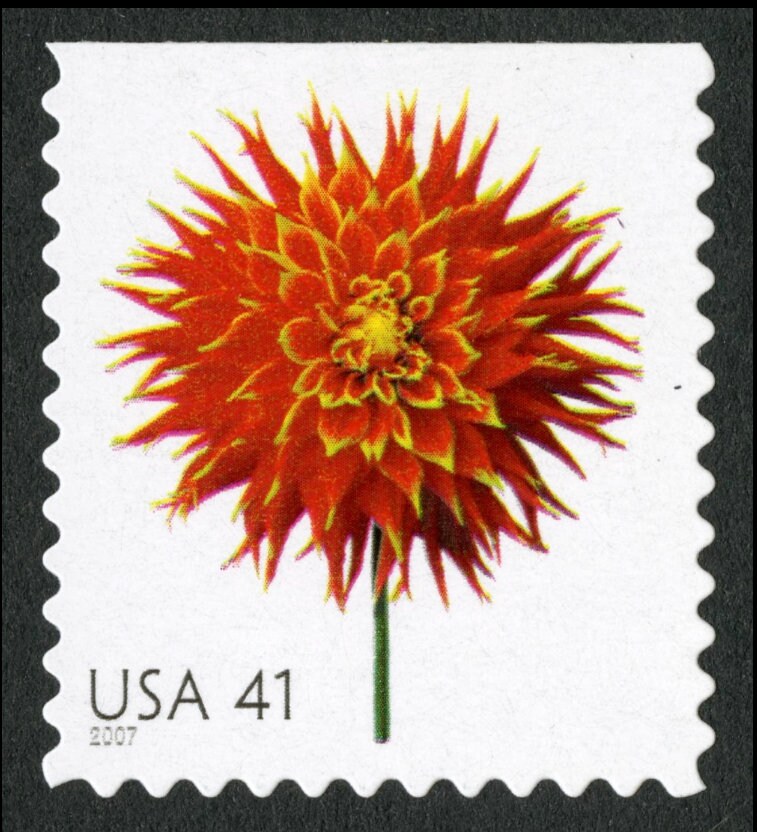 One (1) unused postage stamp - Beautiful Blooms: Dahlia // 41 cent stamps