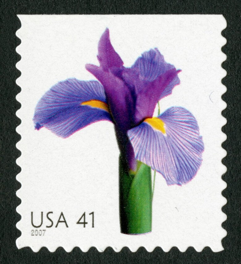 One (1) unused postage stamp - Beautiful Blooms: Iris // 41 cent stamps