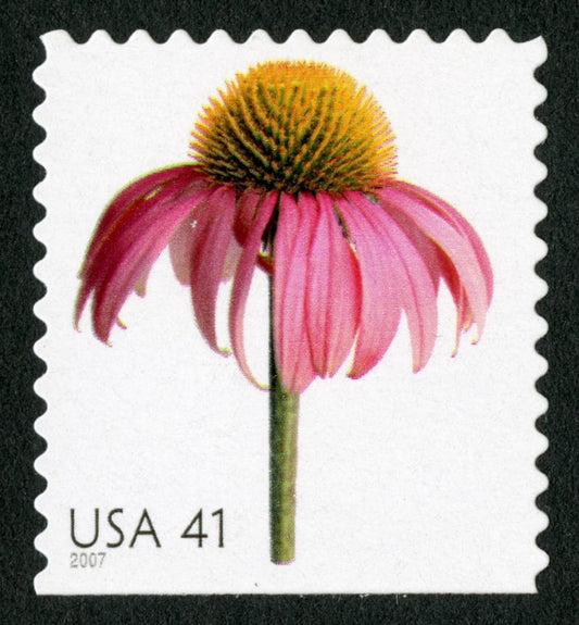 One (1) unused postage stamp - Beautiful Blooms: Coneflower // 41 cent stamps