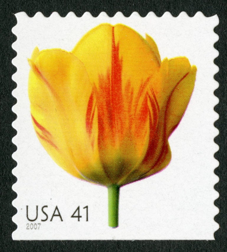 One (1) unused postage stamp - Beautiful Blooms: Tulip // 41 cent stamps