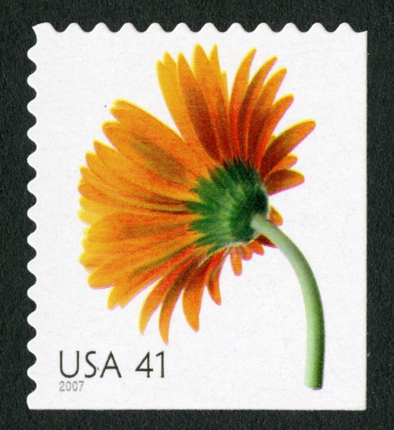 One (1) unused postage stamp - Beautiful Blooms: Orange Gerbera Daisy // 41 cent stamps