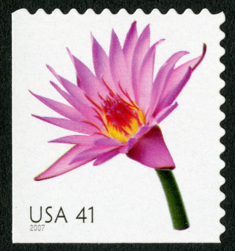 One (1) unused postage stamp - Beautiful Blooms: Water Lily // 41 cent stamps