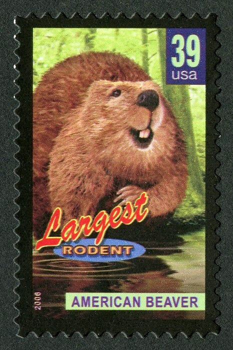 Five (5) unused postage stamps - Wonders of America: Largest Rodent // 39 cent stamps // Face value 1.95