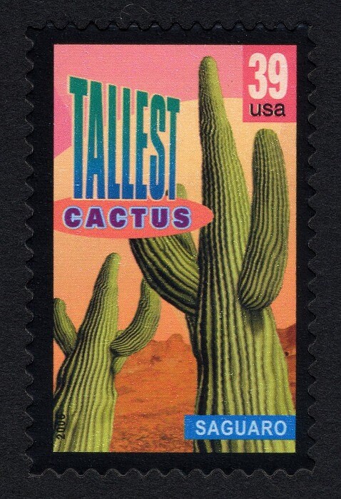 Five (5) unused postage stamps - Wonders of America: tallest cactus, saguaro// 39 cent stamps // Face value 1.95