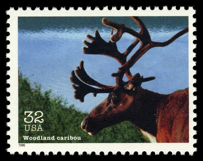 Five (5) vintage unused postage stamps - Woodland caribou (endangered species) // 32 cent stamps // Face value 1.60